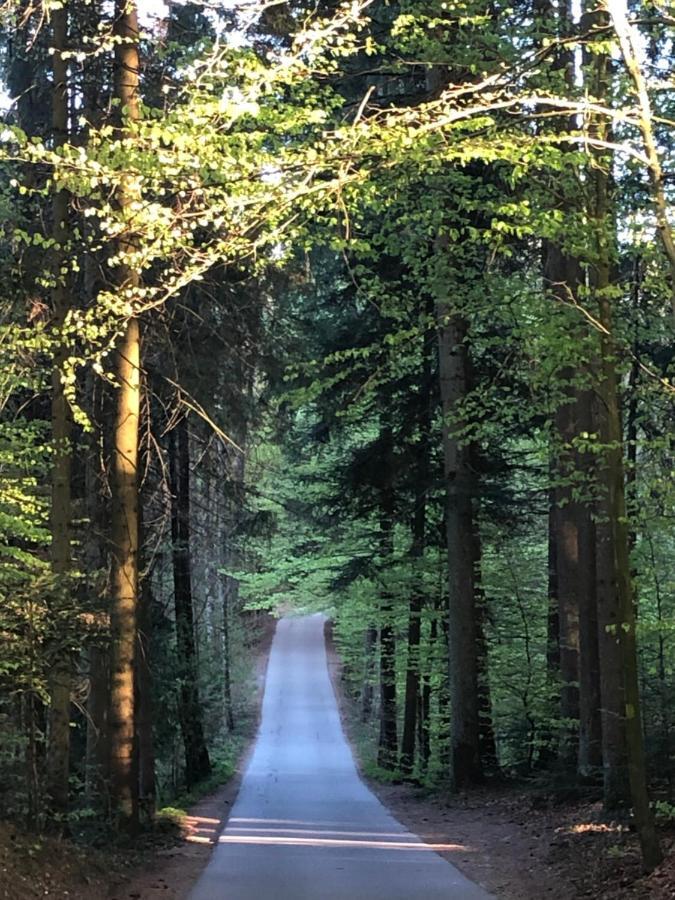 Wanderlust Chiemgau Apartment Bad Endorf Bagian luar foto